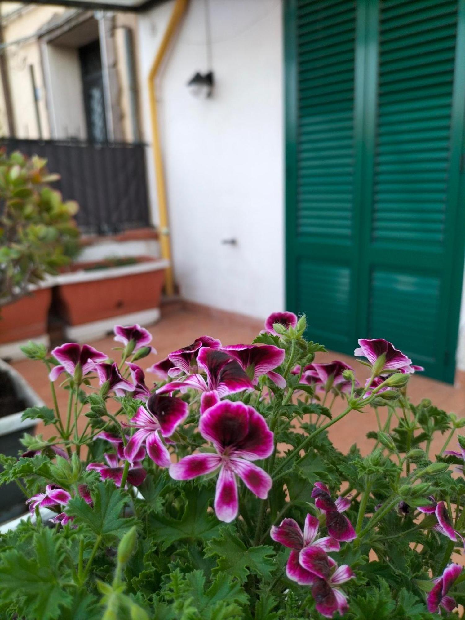Ciuridda Mia Lägenhet Palermo Exteriör bild