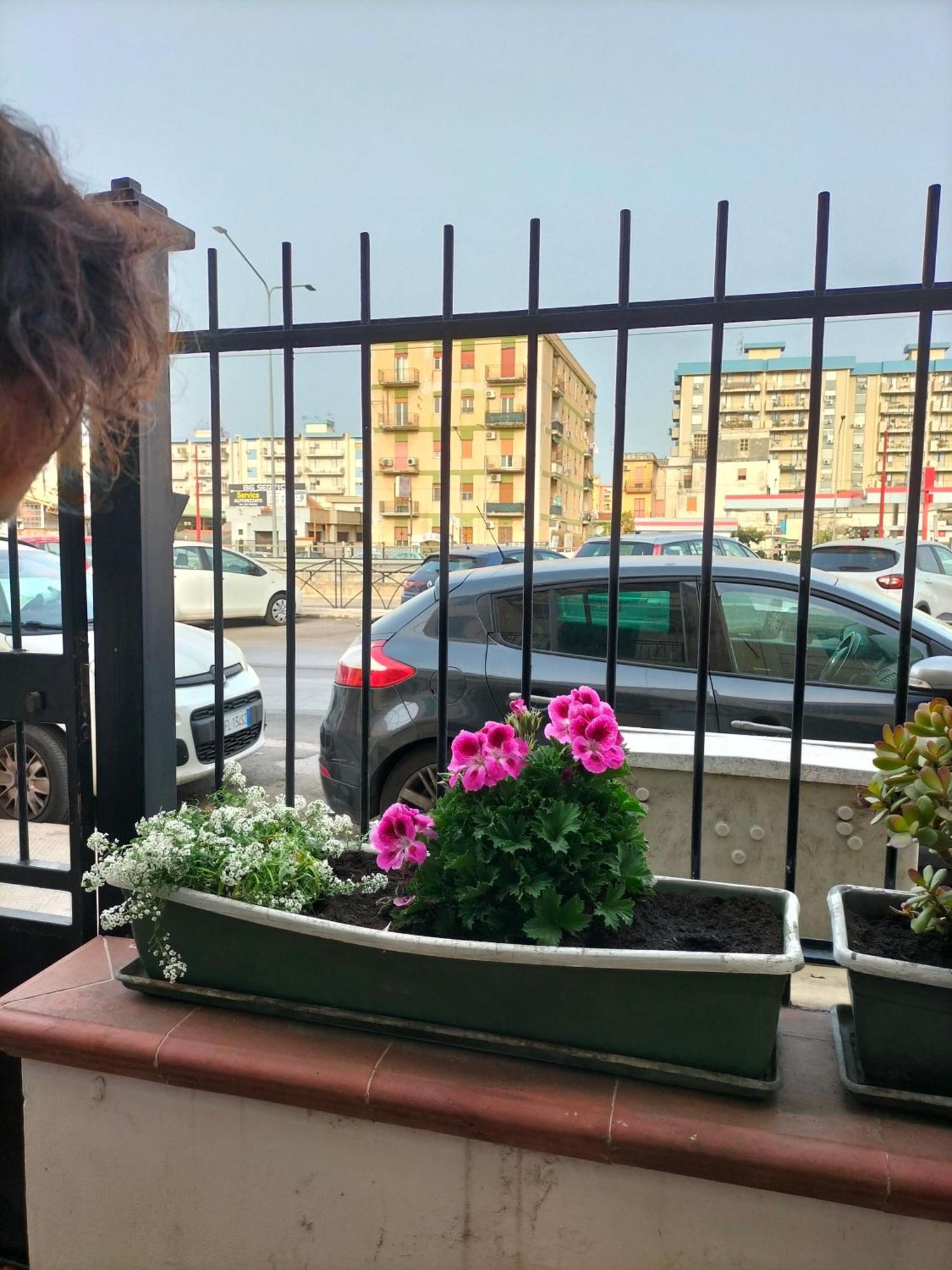 Ciuridda Mia Lägenhet Palermo Exteriör bild
