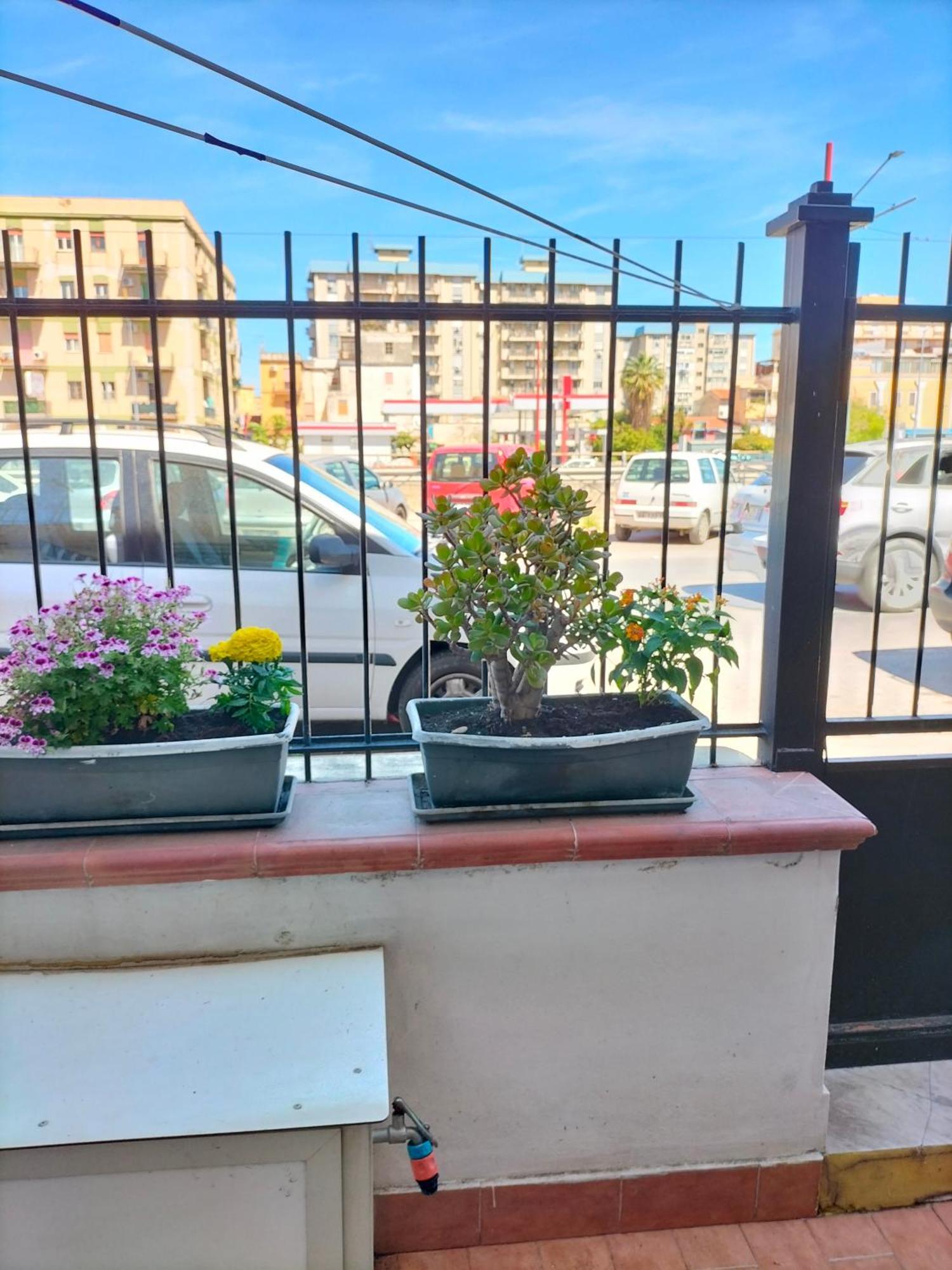 Ciuridda Mia Lägenhet Palermo Exteriör bild