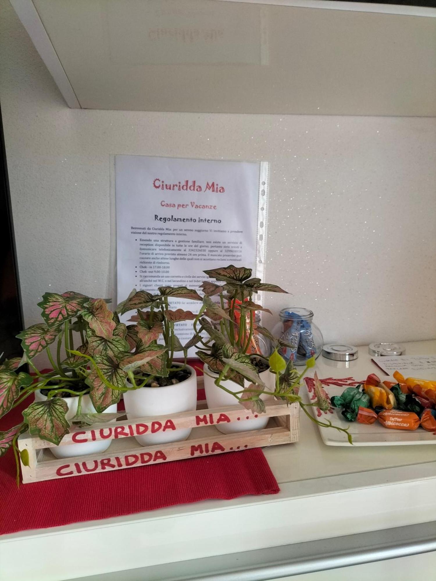 Ciuridda Mia Lägenhet Palermo Exteriör bild